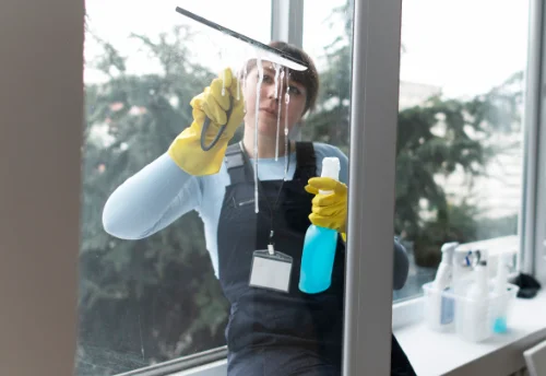 Nettoyage de vitres intérieures et extérieures à Éloyes